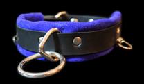 leather restraint collar